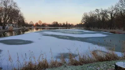 Przyroda w pobliżu tego domu wakacyjnego