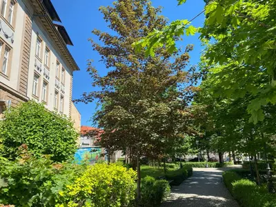 Ogród w obiekcie Apartament Kościuszki