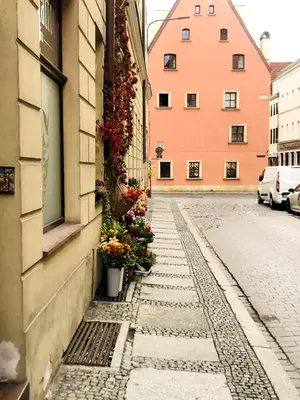 Okolica w pobliżu tego apartamentu