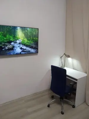 Telewizja i/lub zestaw kina domowego w obiekcie Mieszkanie w rynku