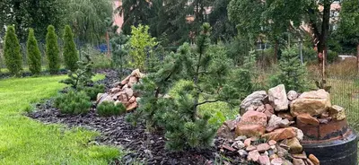 Ogród w obiekcie Apartament Słoneczna polana
