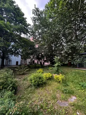 Ogród w obiekcie Apartament przy Rynku Świętego Antoniego