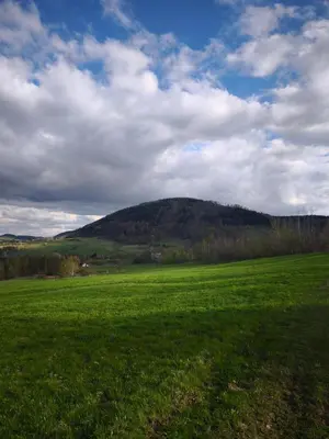 Przyroda w pobliżu tego domu wakacyjnego