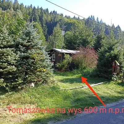 Przyroda w pobliżu tego domu wakacyjnego