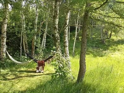 Zwierzęta zatrzymujące się w obiekcie Folwark Noclegowy w Nowej Morawie - Tomaszówka na wys 600 m