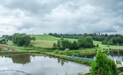 Przyroda w pobliżu tego domu wakacyjnego