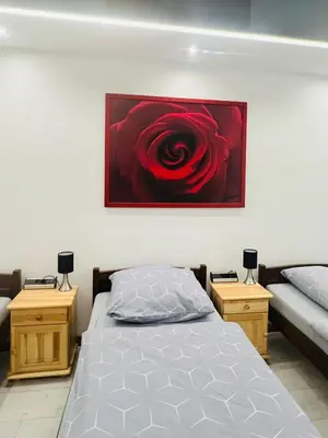 Łóżko lub łóżka w pokoju w obiekcie Apartament pod ŚWIERKIEM