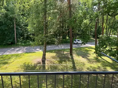 Ogród w obiekcie Apartament pod ŚWIERKIEM