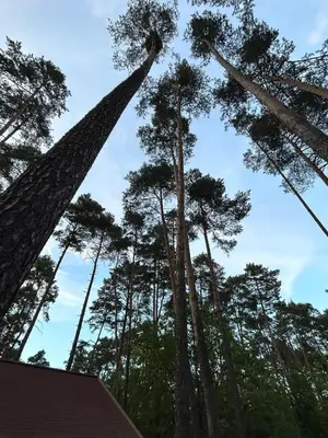 Plan piętra w obiekcie Domek Letniskowy Turawa