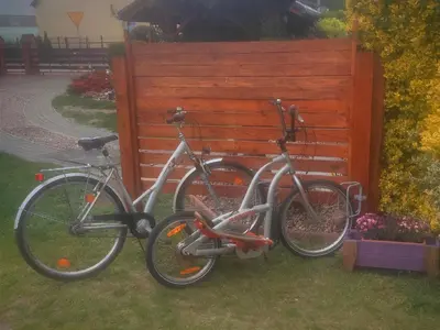 Rowery dostępne w obiekcie Noclegi - pokój rowerowy w Dolinie Baryczy - Anielska sielanka lub w pobliżu