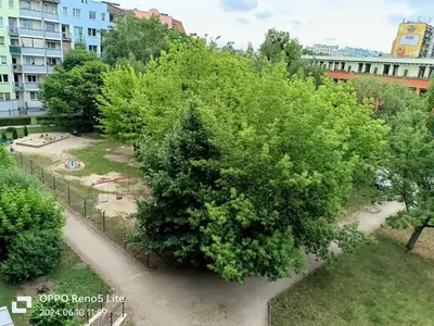 Ogród w obiekcie Mieszkanie 3 pokojowe dla rodzin, z zabawkami, w centrum blisko Aquaparku