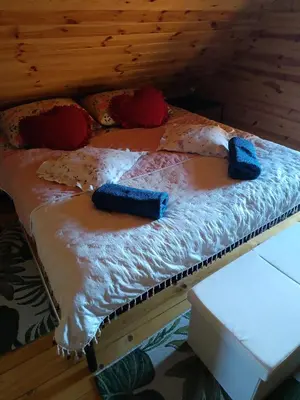 Łóżko lub łóżka w pokoju w obiekcie Domek Raszówka