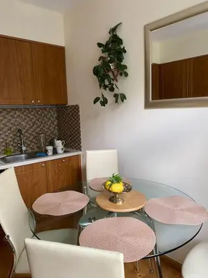 Kuchnia lub aneks kuchenny w obiekcie Oaza Borek - Stylowy Apartament