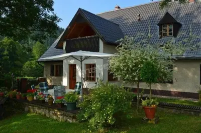 Ogród w obiekcie Agroturystyka Pod Jesionami