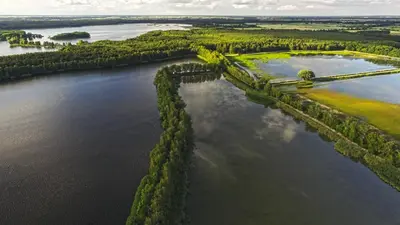 Przyroda w pobliżu tego apartamentu