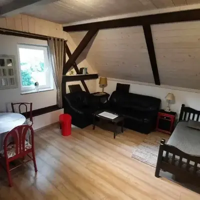 Apartament Jeleń w smokingu