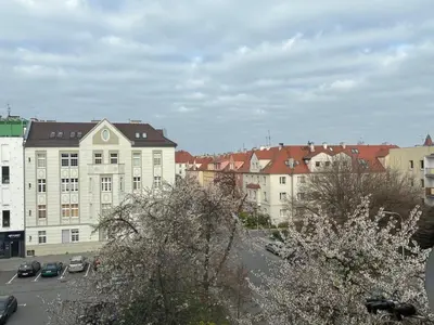Okolica w pobliżu tego apartamentu