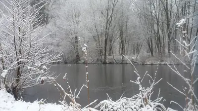 Przyroda w pobliżu tego domu wakacyjnego