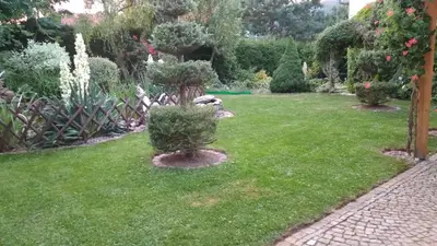 Ogród w obiekcie Domek w górach Lewin Kłodzki koło Kudowy Zdrój