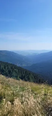 Przyroda w pobliżu tego domu wakacyjnego