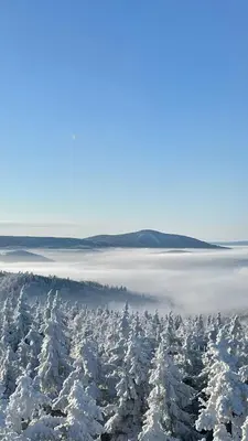 Przyroda w pobliżu tego domu wakacyjnego