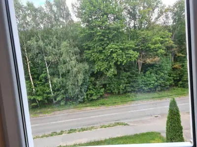 Przyroda w pobliżu tego apartamentu
