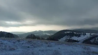 Przyroda w pobliżu tego apartamentu