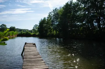Przyroda w pobliżu tego domu wakacyjnego