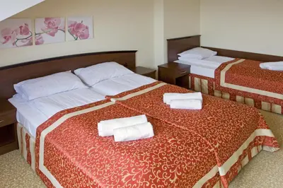 Łóżko lub łóżka w pokoju w obiekcie Hotel Zieleniec
