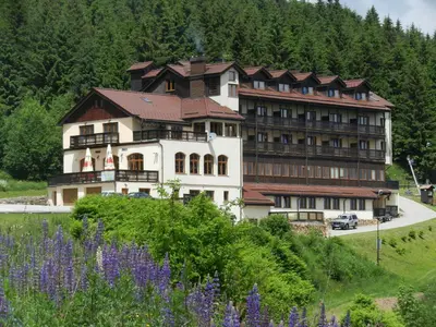 Przyroda w pobliżu tego hotelu