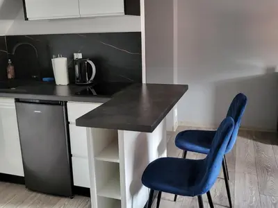 Kuchnia lub aneks kuchenny w obiekcie Przytulny Apartament Bella Biały Kamień