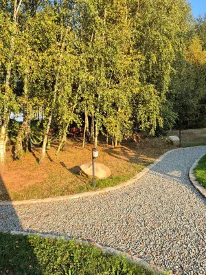 Ogród w obiekcie Brda na skraju lasu