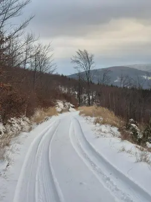 Przyroda w pobliżu tego domu w stylu alpejskim