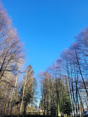 Przyroda w pobliżu tego apartamentu