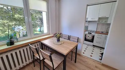 Kuchnia lub aneks kuchenny w obiekcie polanka