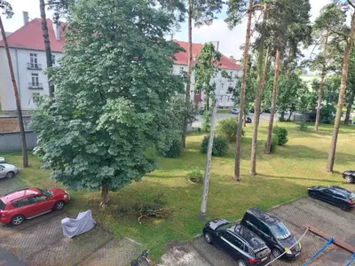Ogród w obiekcie Strzelce Queen
