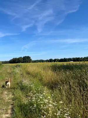 Przyroda w pobliżu tego gospodarstwa agroturystycznego