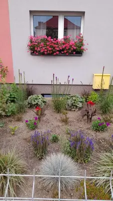 Ogród w obiekcie Hory Opawskie