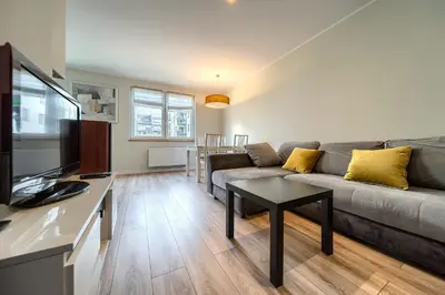 Kuchnia lub aneks kuchenny w obiekcie Babiego Lata Spacious Apartment