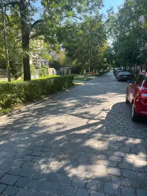 Okolica w pobliżu tego apartamentu