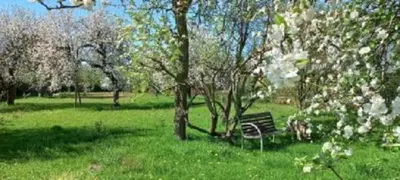 Ogród w obiekcie mieszkanie Tarnowskie Góry niedaleko Pałacu Rybna