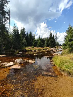 Przyroda w pobliżu tego domu wakacyjnego