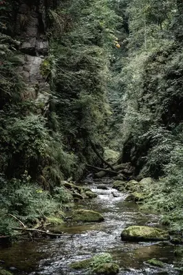 Przyroda w pobliżu tego domu wakacyjnego