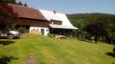 Przyroda w pobliżu tego apartamentu