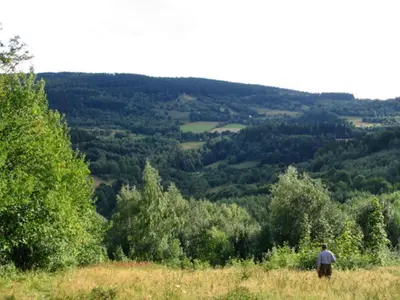 Przyroda w pobliżu tego apartamentu