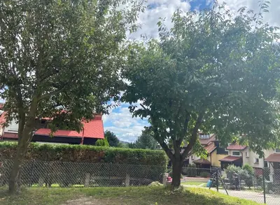 Ogród w obiekcie Apartament Grabowa
