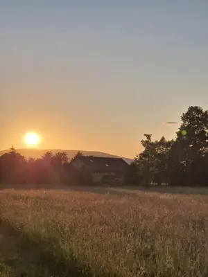 Przyroda w pobliżu tego apartamentu