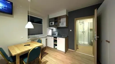 Kuchnia lub aneks kuchenny w obiekcie Hotel Platan