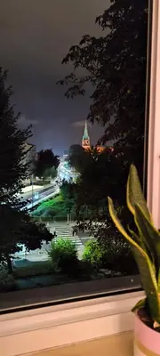 Ogród w obiekcie Apartament Opawska