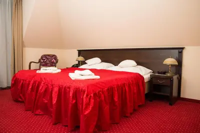 Łóżko lub łóżka w pokoju w obiekcie Zajazd u Beaty i Violetty